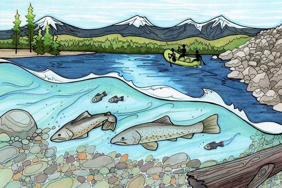 Protect the Deschutes sticker