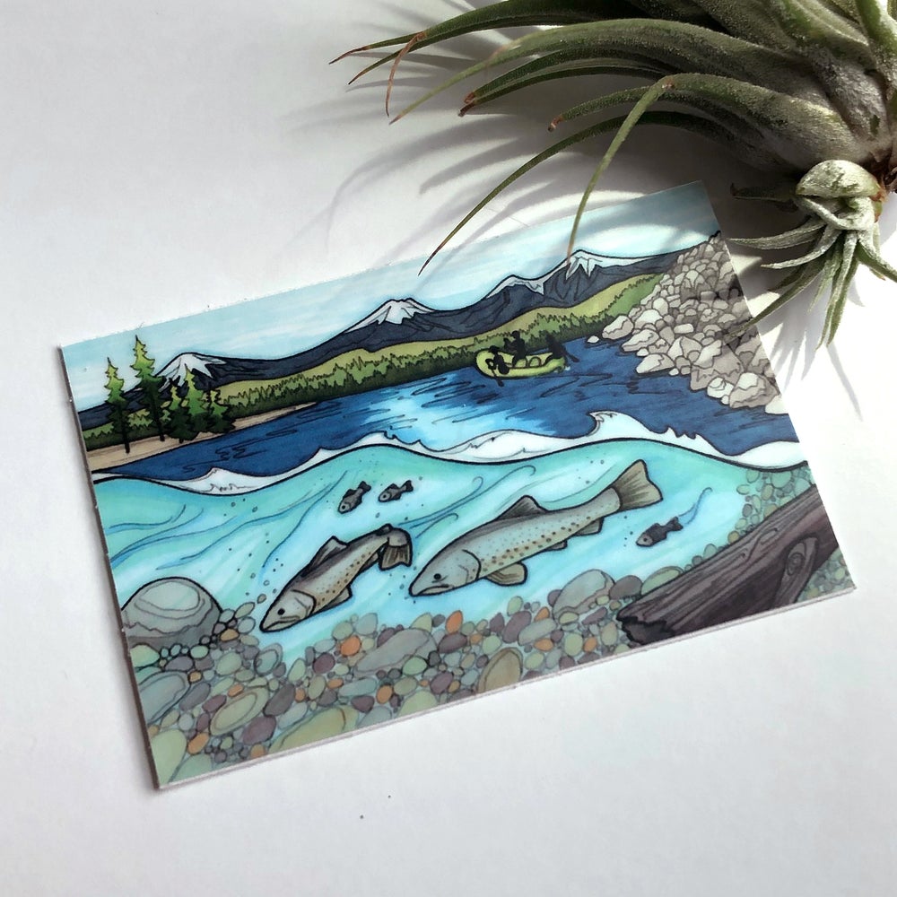 Protect the Deschutes sticker