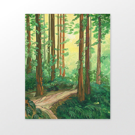 Forest Bike Ride art print