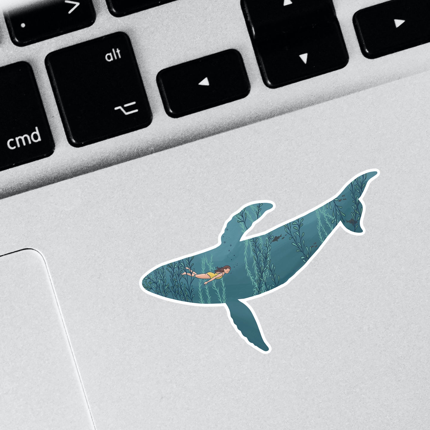 Humpback Whale Diver sticker