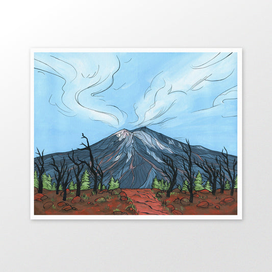 Mount Bachelor in Summer art print